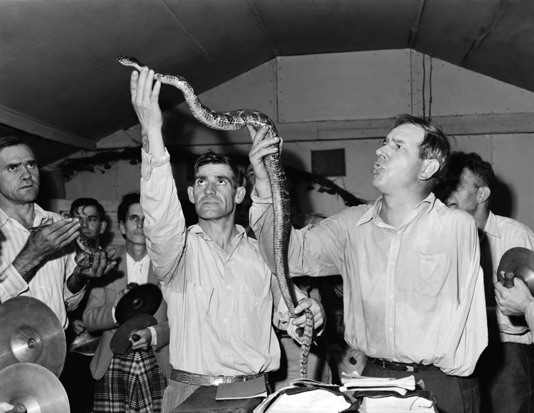 Harlan_Snakehandling